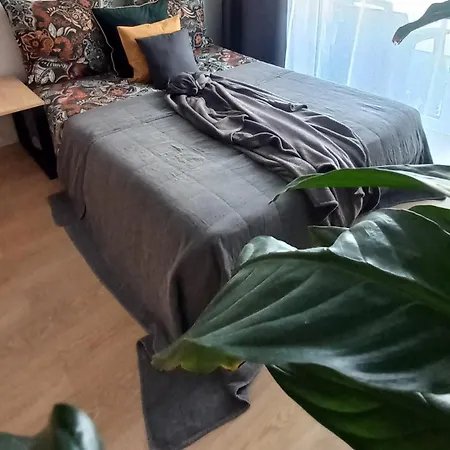 Sloneczny Poleska * Częstochowa