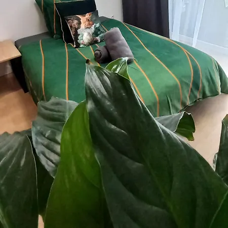 Sloneczny Poleska * Częstochowa