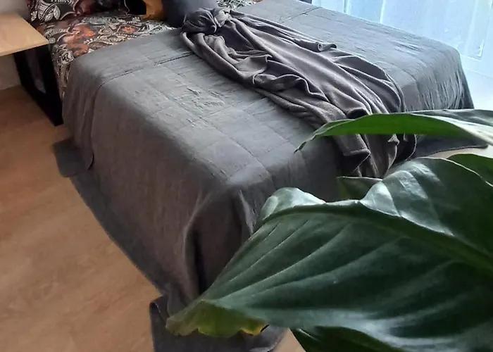 Sloneczny Poleska * Częstochowa